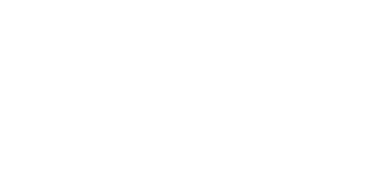 BORN UNRULED logo